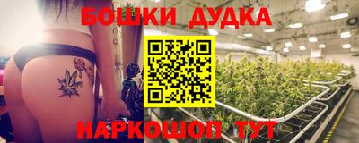 крисы Будённовск