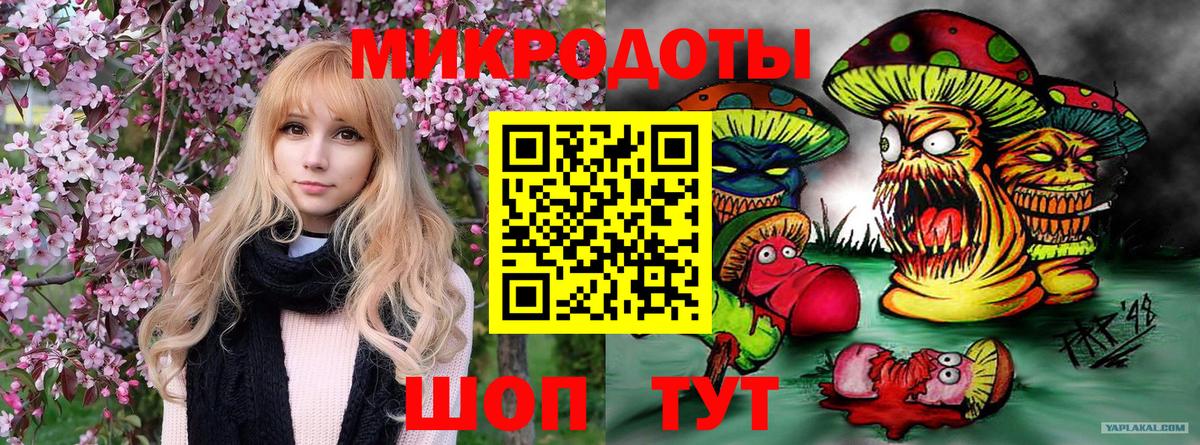 Псилоцибиновые грибы мухоморы Междуреченск