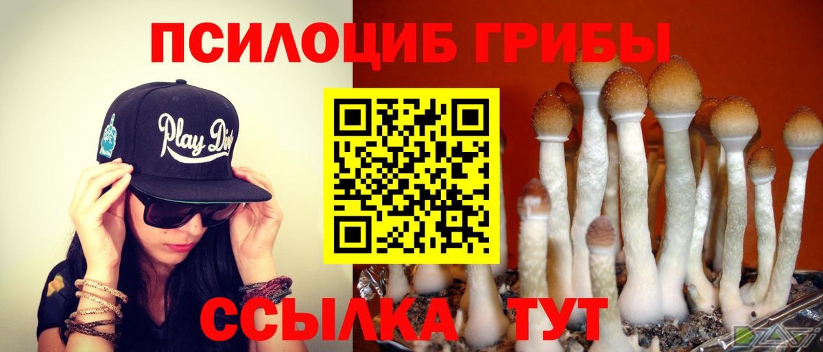 Галлюциногенные грибы Psilocybine cubensis  Вход с VPN  Междуреченск 